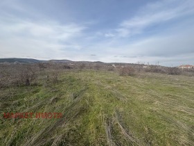 ������ ������� ������