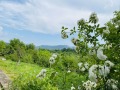 Продава КЪЩА, област Габрово, с. Славейково • 220000 € • 68937352 16