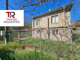 ������ ������� ����