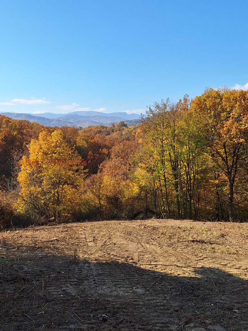 Продава ПАРЦЕЛ, гр. Троян, област Ловеч, снимка 2 - Парцели - 52784946