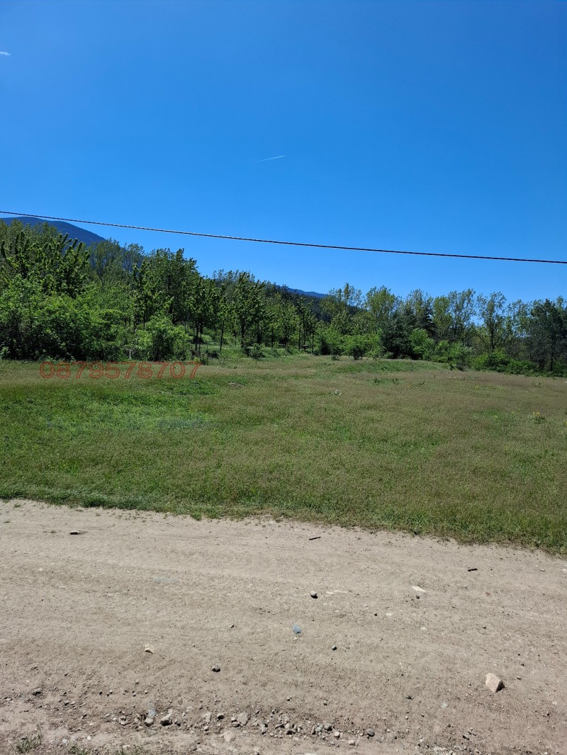 Продава ЗЕМЕДЕЛСКА ЗЕМЯ, с. Ресилово, област Кюстендил, снимка 4 - Земеделска земя - 52778817