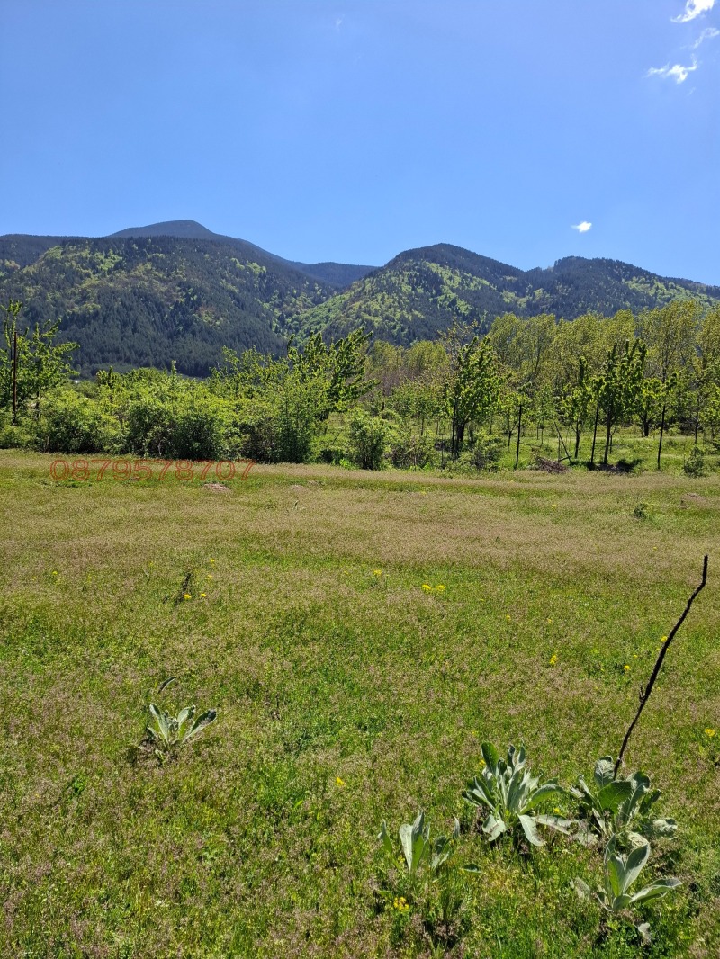 Продава ЗЕМЕДЕЛСКА ЗЕМЯ, с. Ресилово, област Кюстендил