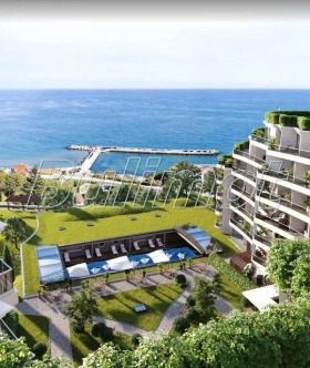 ����� ������� 3-�����,���� �����, �.�. �����