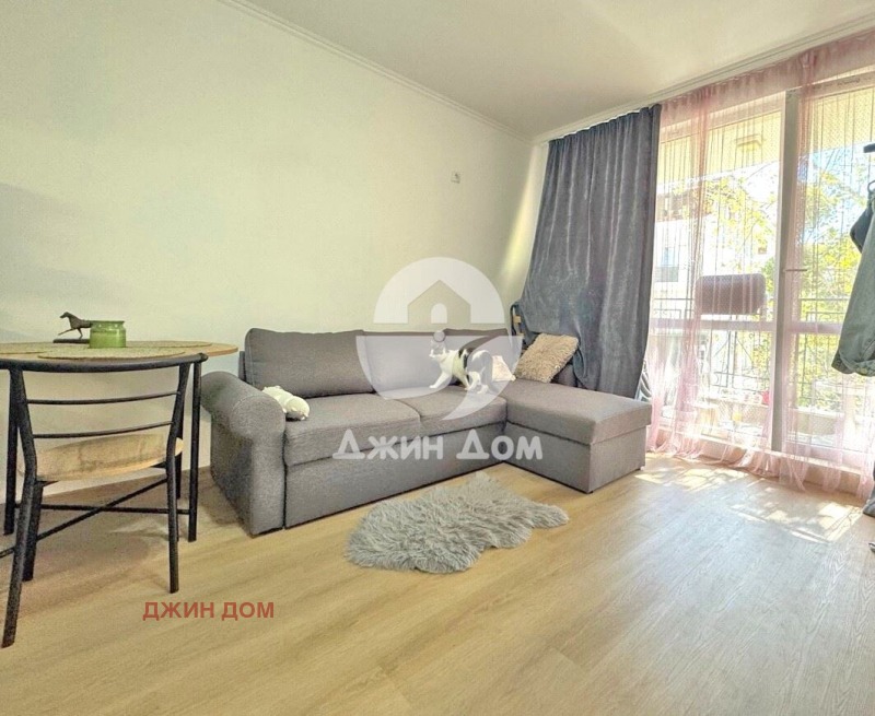 Продается  Студия область Бургас , к.к. Слънчев бряг , 37 кв.м | 47407401 - изображение [3]