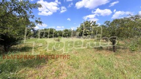 ������� ���� | Imot.bg � ����� ������ 15