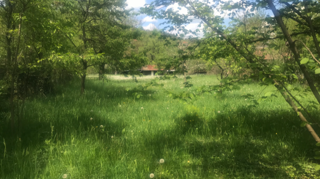 Продава ПАРЦЕЛ, гр. Трявна, област Габрово, снимка 4 - Парцели - 52786631