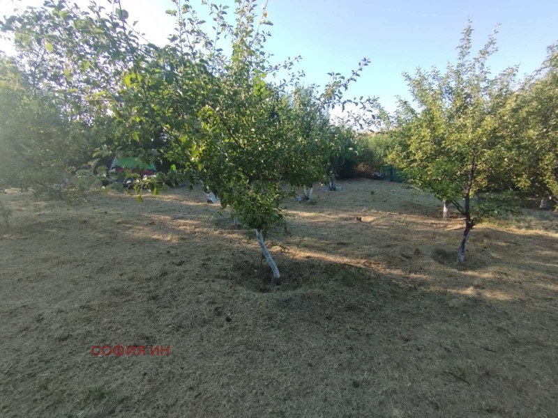 À venda  Trama região Kyustendil , Chatrovo , 961 m² | 11611046 - imagem [9]