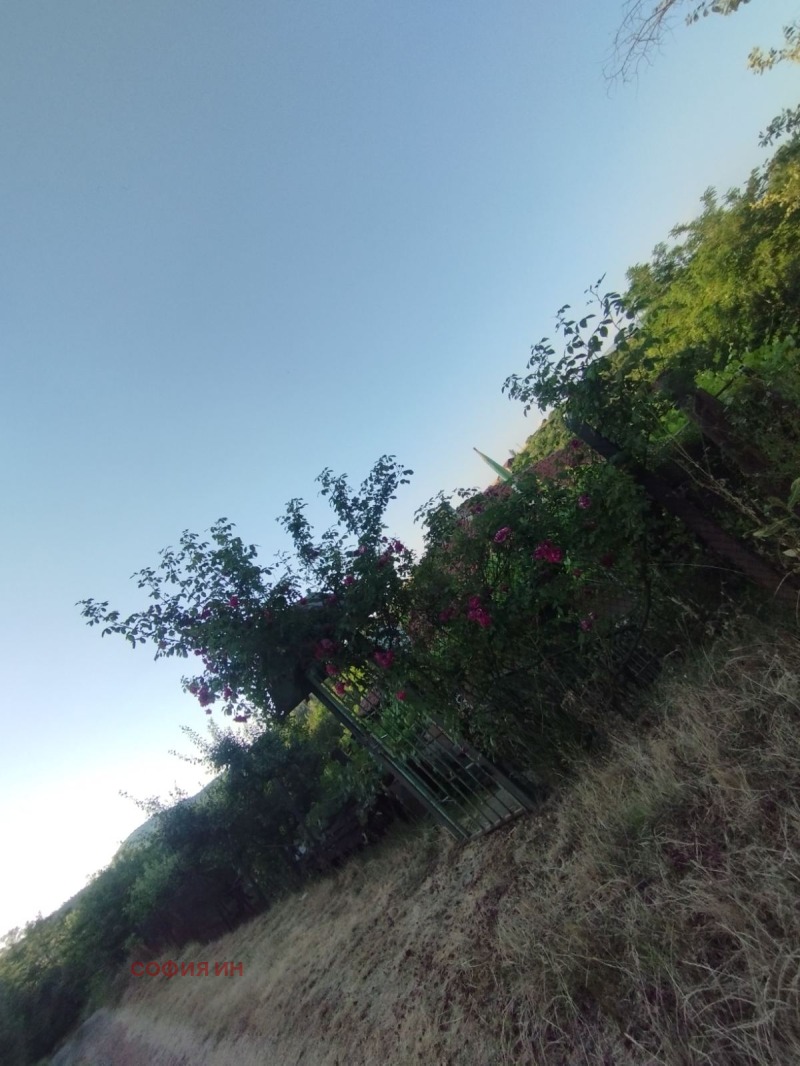 À venda  Trama região Kyustendil , Chatrovo , 961 m² | 11611046 - imagem [11]