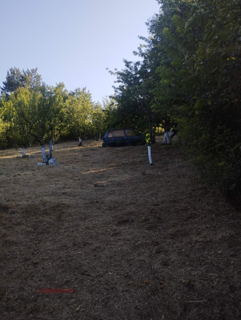 À venda  Trama região Kyustendil , Chatrovo , 961 m² | 11611046 - imagem [6]