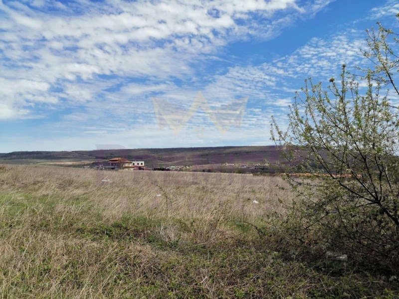 Na sprzedaż  Działka rejon Dobricz , Rogaczewo , 5600 mkw | 31946424 - obraz [2]