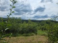 Продава ПАРЦЕЛ, с. Гумощник, област Ловеч, снимка 2