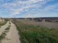 Продава ПАРЦЕЛ, област Добрич, с. Рогачево • 112000 € / 219052.96 лв. • 59269015 4
