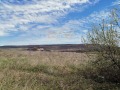 Продава ПАРЦЕЛ, област Добрич, с. Рогачево • 112000 € / 219052.96 лв. • 59269015 2