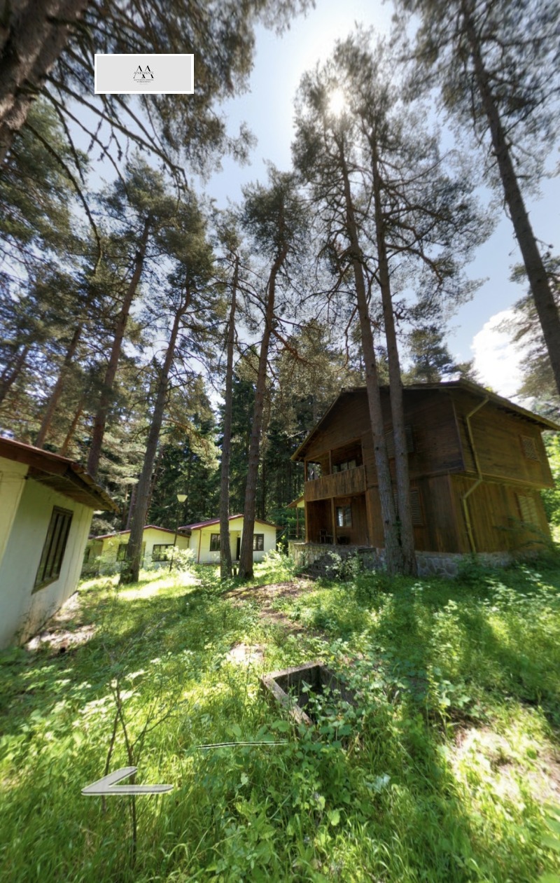 Na prodej  Spiknutí oblast Pazardzhik , Rakitovo , 20000 m2 | 33112883 - obraz [5]