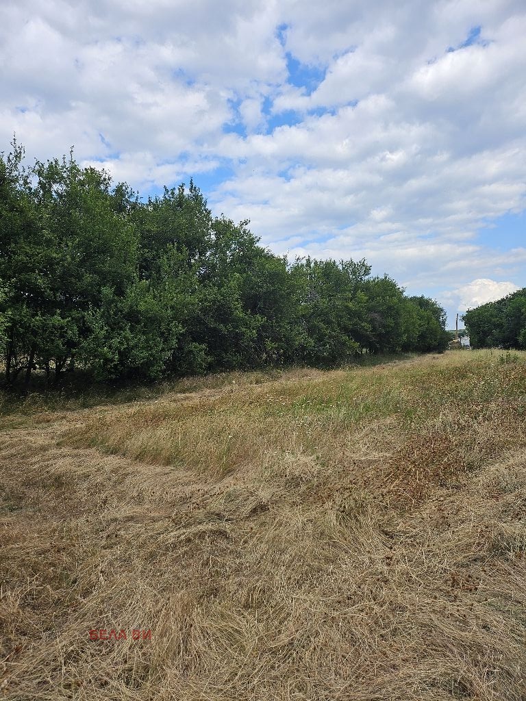 Продава  Парцел област Перник , с. Слаковци , 2320 кв.м | 62057062 - изображение [3]