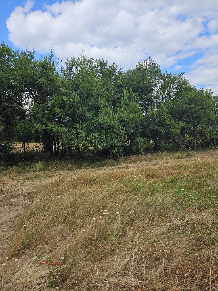 Продава  Парцел област Перник , с. Слаковци , 2320 кв.м | 62057062