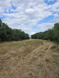 Продава ПАРЦЕЛ, област Перник, с. Слаковци • 75000 лв. • 88407515 — Holmes.bg