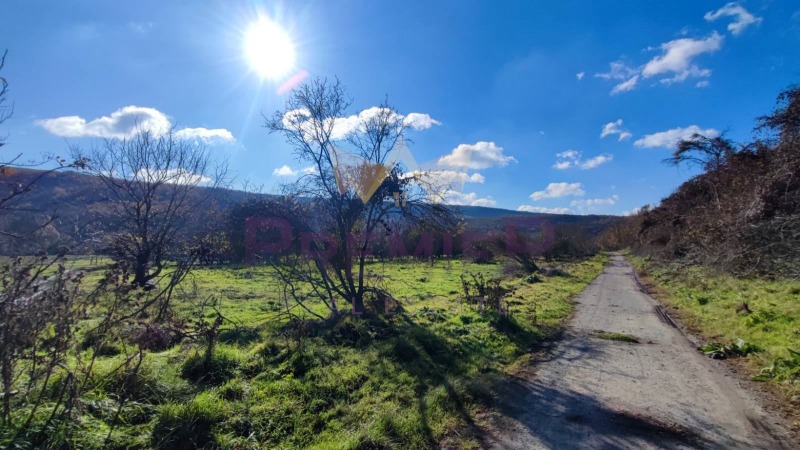 Na prodej  Spiknutí oblast Dobrich , Obročište , 4524 m2 | 72319596 - obraz [3]