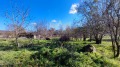 Продава ПАРЦЕЛ, област Добрич, с. Оброчище • 60000 € • 21017704 — Holmes.bg