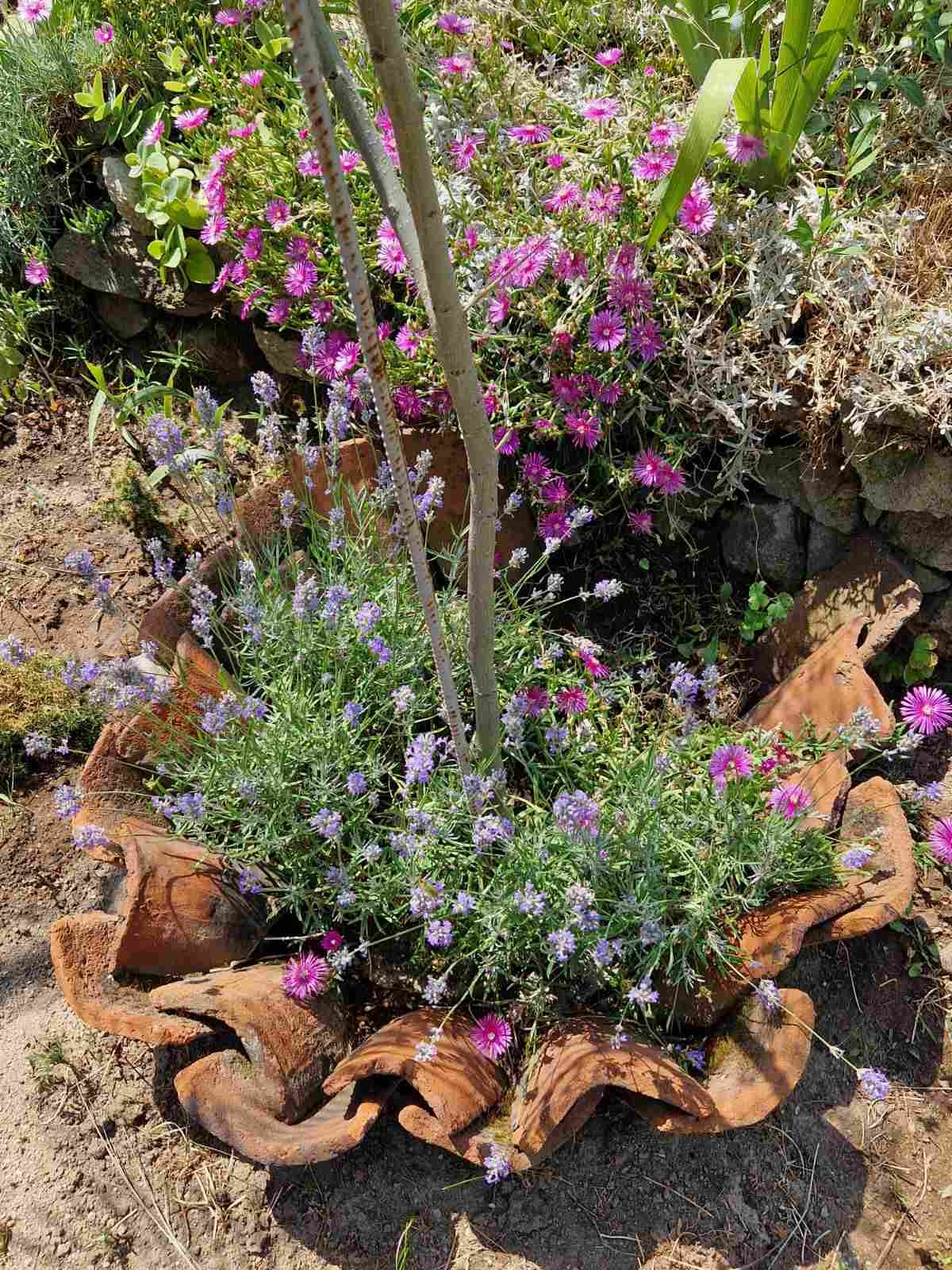 ������� ���� | Imot.bg � ����������� 6