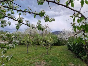 ������� ���� | Imot.bg � ����� ������ 8