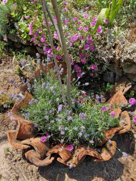 ������� ���� | Imot.bg � ����� ������ 6