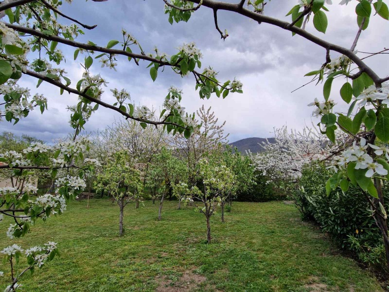 Продава КЪЩА, гр. Асеновград, област Пловдив, снимка 7 - Къщи - 52161426