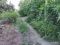 Продава ПАРЦЕЛ, с. Алеко Константиново, област Пазарджик, снимка 5