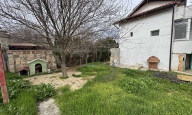 ����� ������� ����,���� �����, ������