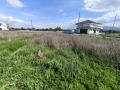 Продава ПАРЦЕЛ, гр. Божурище, област София област, снимка 5