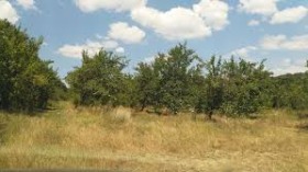 Плот Кошарица, регион Бургас 1