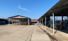 ����� ������� ����. ���������,���� �����, ��������