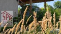 Продава ВИЛА, град Русе, в.з. Липака • 49000 € • 47089047 — Holmes.bg