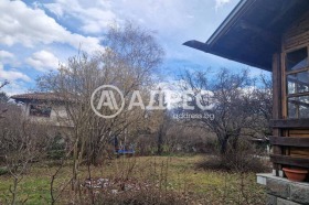 ����� ������� ����,���� �����, ���������