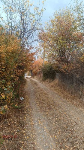 ������� ������ | Imot.bg � ����� ������ 5