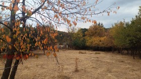 ������� ������ | Imot.bg � ����� ������ 8