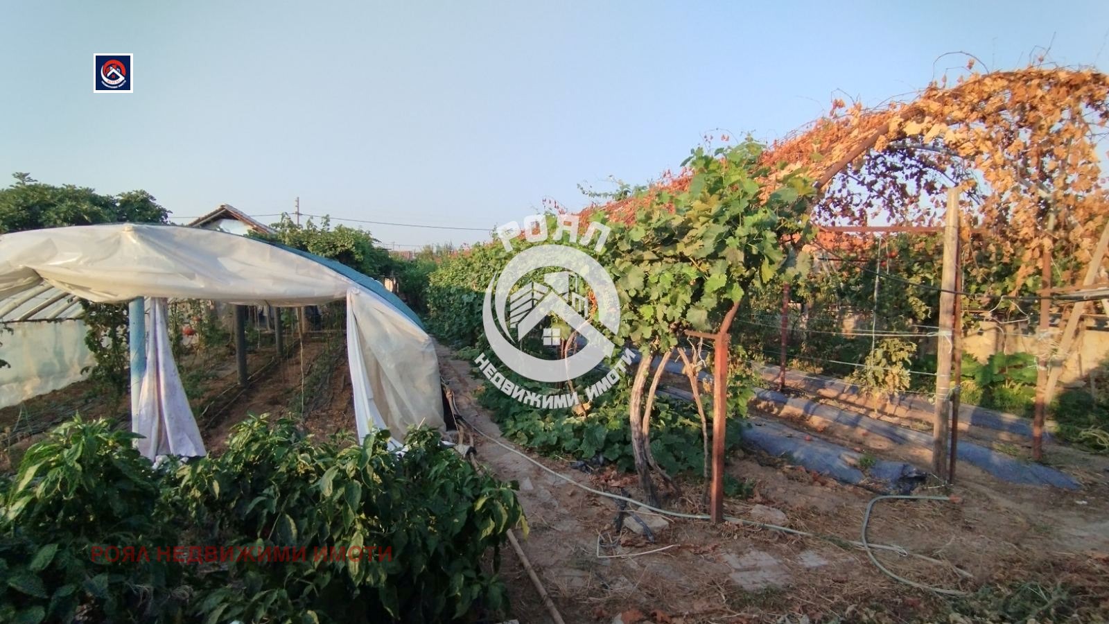 Продава КЪЩА, с. Паничери, област Пловдив, снимка 6 - Къщи - 51828101