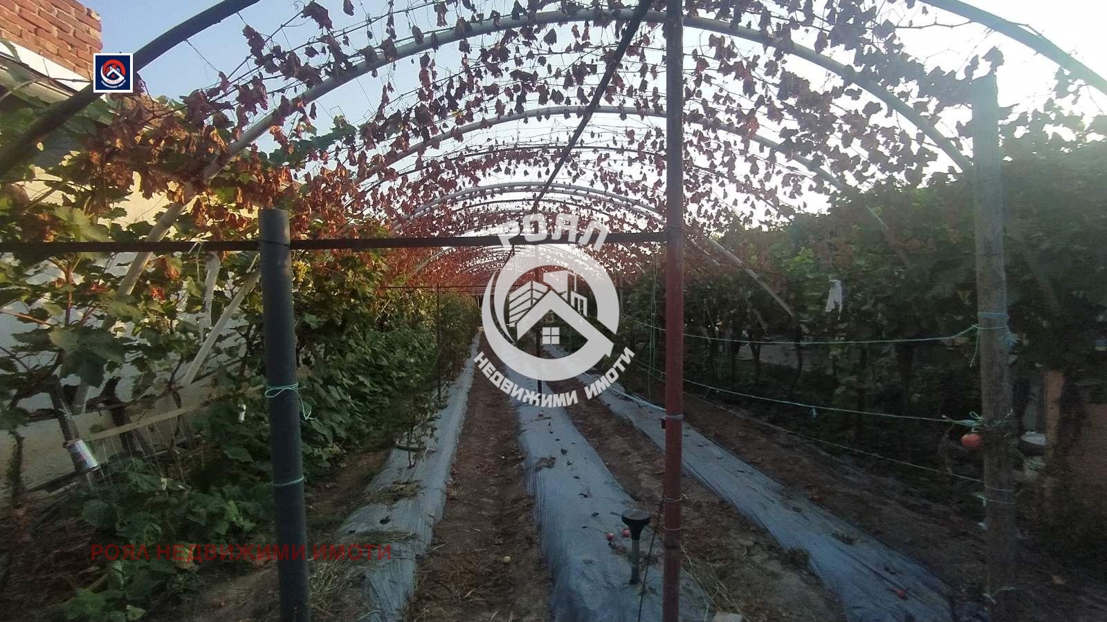 Продава КЪЩА, с. Паничери, област Пловдив, снимка 10 - Къщи - 51828101