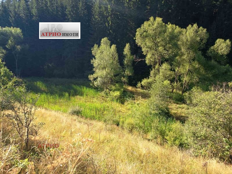 ������� ������ | Imot.bg � ����������� 4