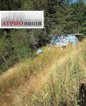 ������� ������ | Imot.bg � ����� ������ 6