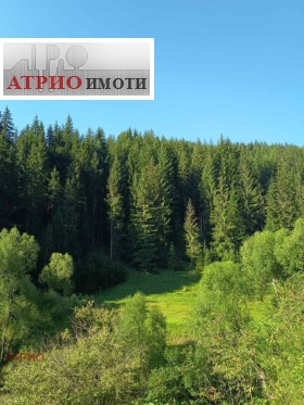 ������� ������ | Imot.bg � ����� ������ 3