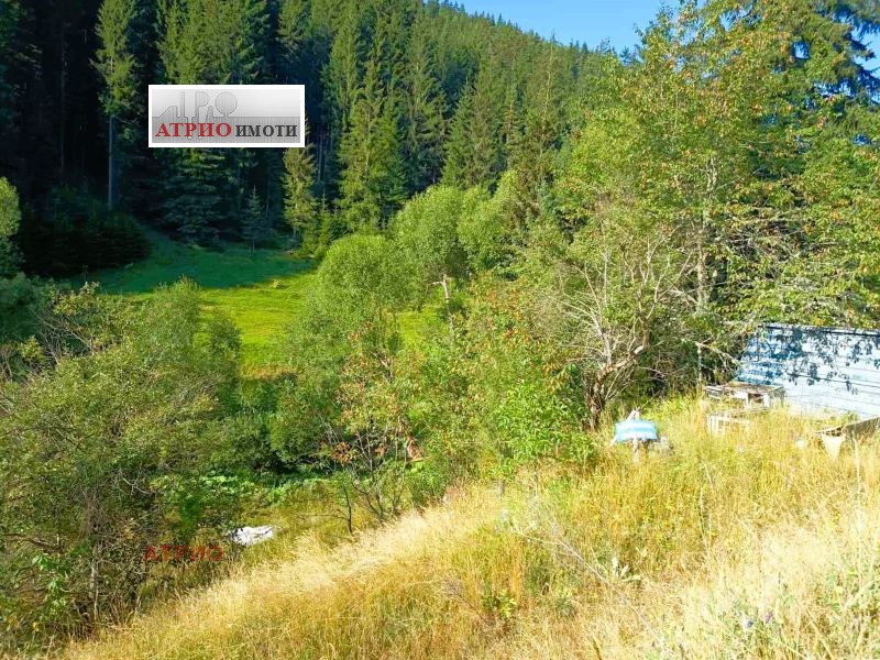 Продава ПАРЦЕЛ, гр. Чепеларе, област Смолян, снимка 7 - Парцели - 55655700