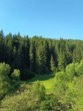 Продава ПАРЦЕЛ, гр. Чепеларе, област Смолян, снимка 3
