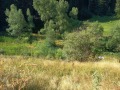 Продава ПАРЦЕЛ, гр. Чепеларе, област Смолян, снимка 5