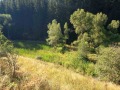 Продава ПАРЦЕЛ, гр. Чепеларе, област Смолян, снимка 4
