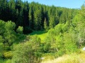 Продава  Парцел област Смолян , гр. Чепеларе , 4316 кв.м | 74922735 - изображение [2]