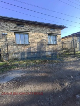 ������ ������� ����