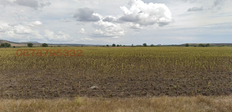 Na prodej  Spiknutí Burgas , Černo more , 8000 m2 | 47568366