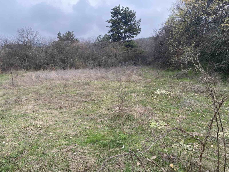 Продава ЗЕМЕДЕЛСКА ЗЕМЯ, гр. Калофер, област Пловдив, снимка 3 - Земеделска земя - 52611024