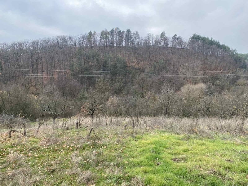 Продава ЗЕМЕДЕЛСКА ЗЕМЯ, гр. Калофер, област Пловдив, снимка 2 - Земеделска земя - 52611024